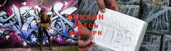 стафф Алексин