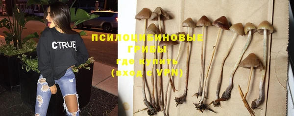 каннабис Алексеевка