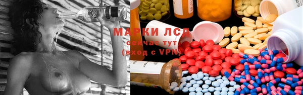 стафф Алексин
